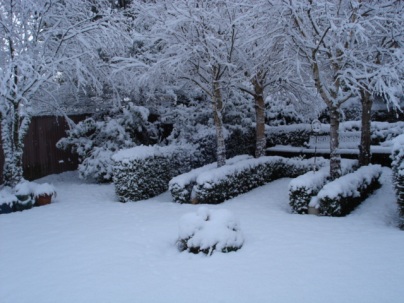 The Winter 2011