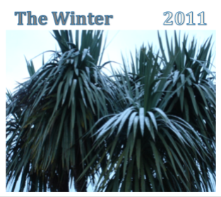 The Winter: 2011